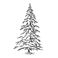 Evergreen-Sketch-Co-Favicon-LG